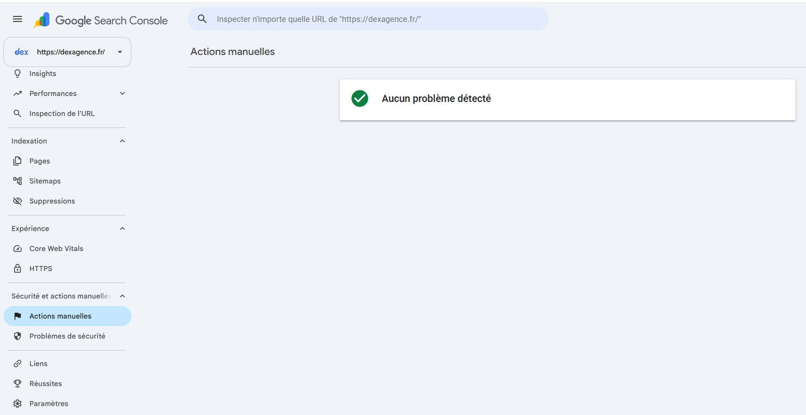 Capture de Google Search Console montrant la section Actions manuelles avec le message « Aucun problème détecté ».